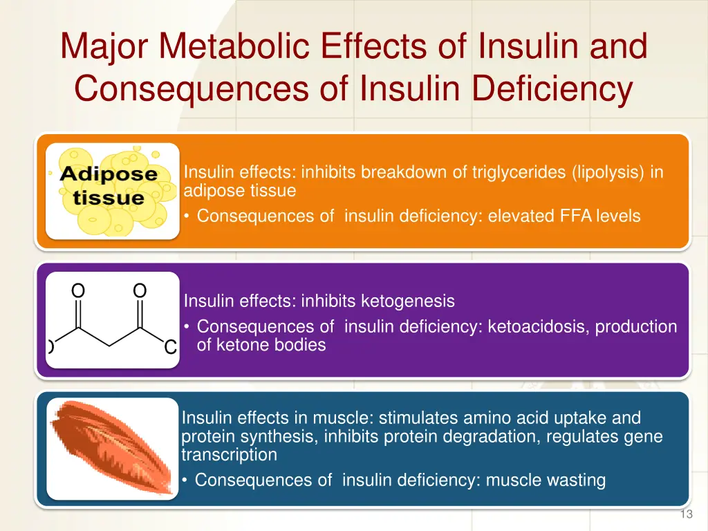 major metabolic effects of insulin