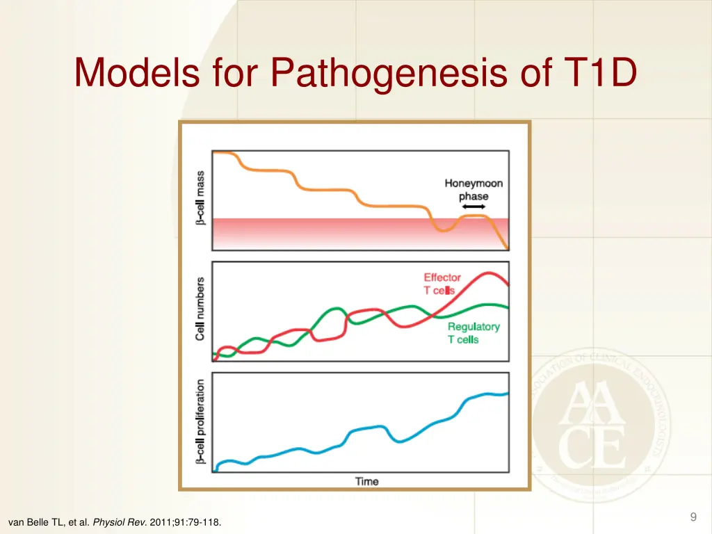 models for pathogenesis of t1d 1