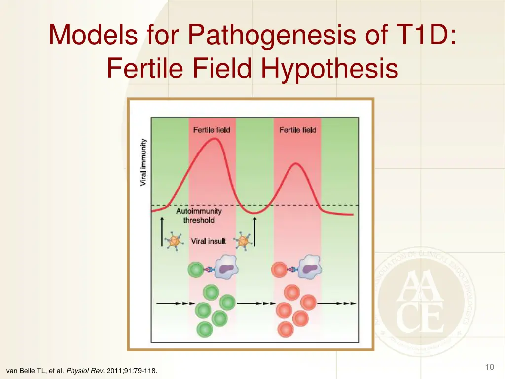 models for pathogenesis of t1d fertile field