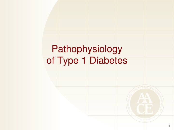 pathophysiology of type 1 diabetes