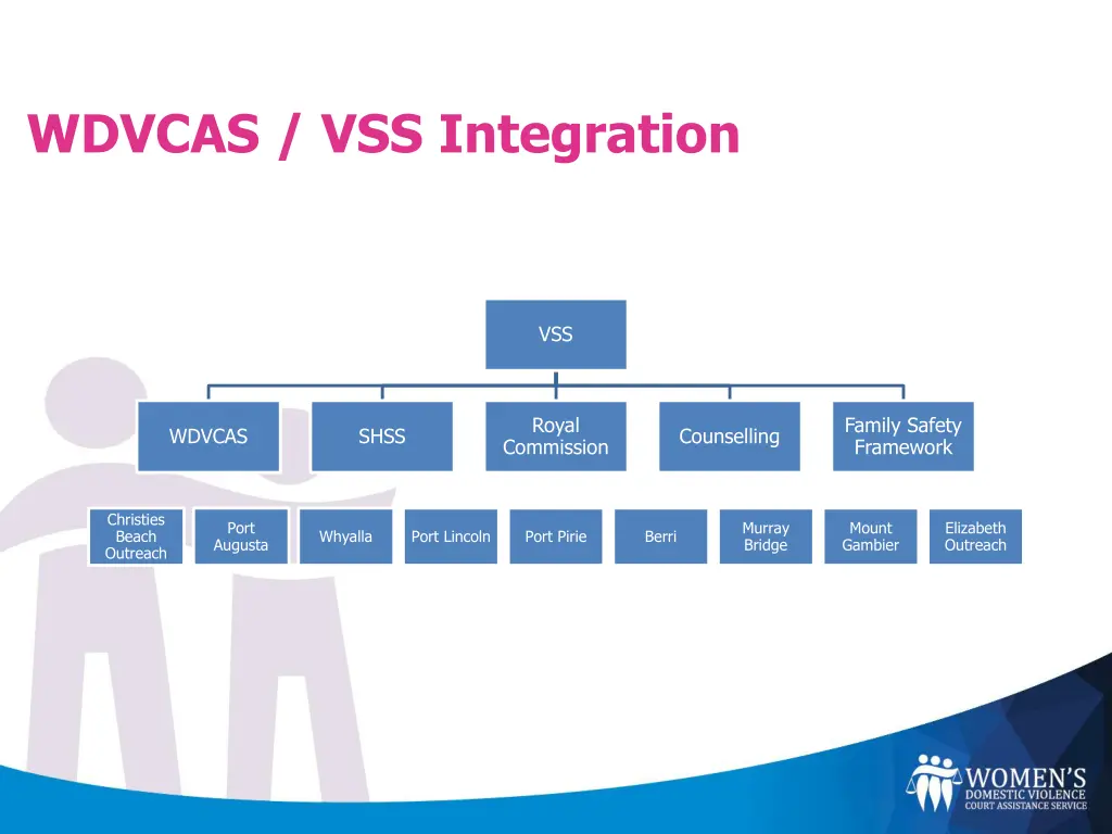 wdvcas vss integration