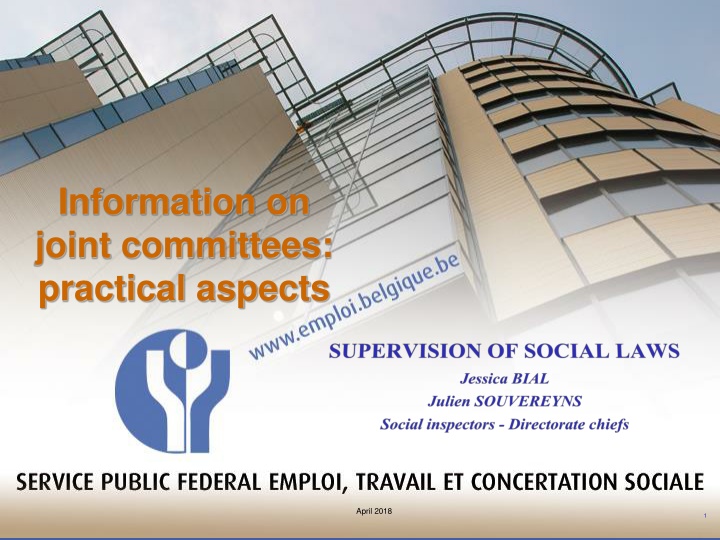 information on joint committees practical aspects