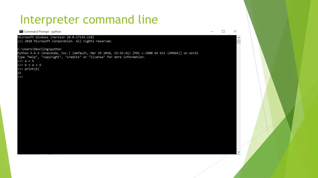 interpreter command line