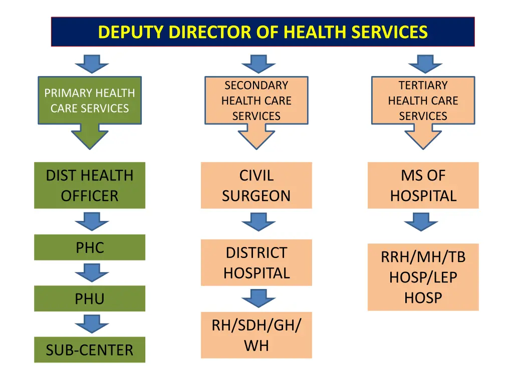 deputy director of health services