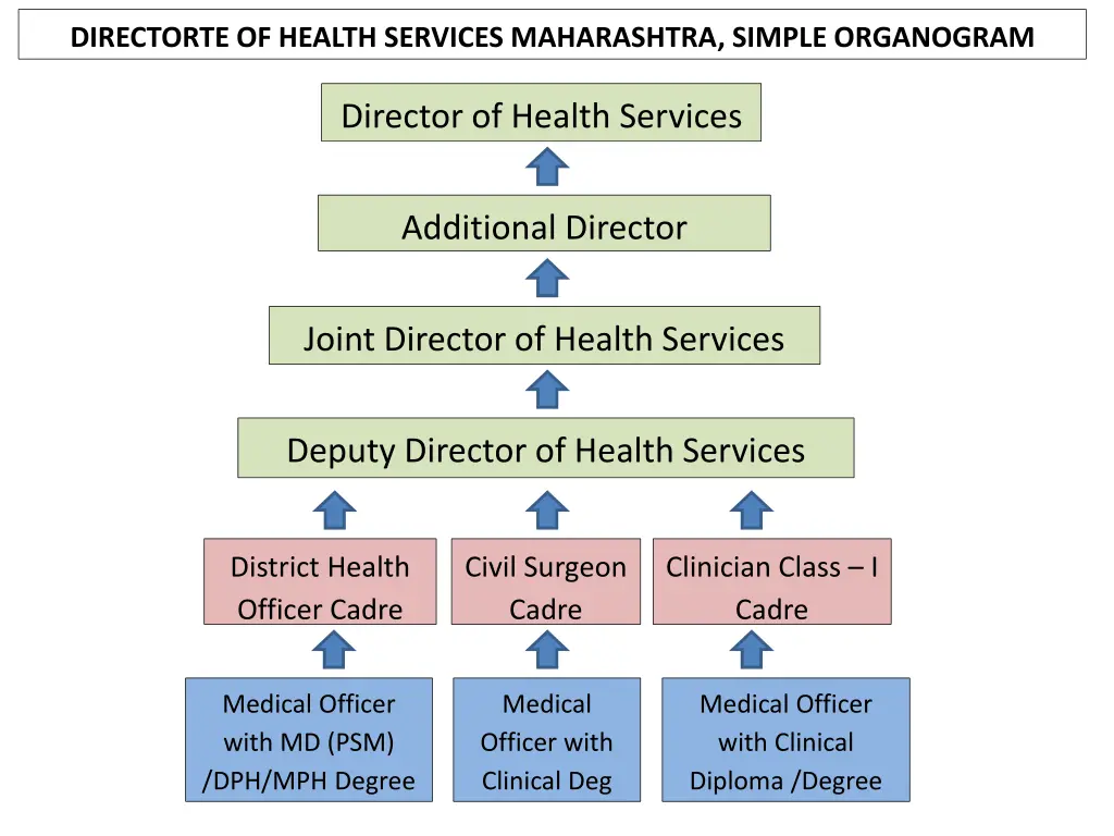 directorte of health services maharashtra simple