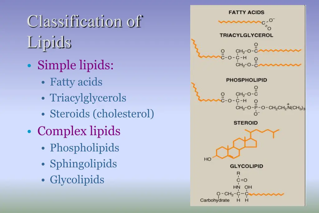 classification of lipids