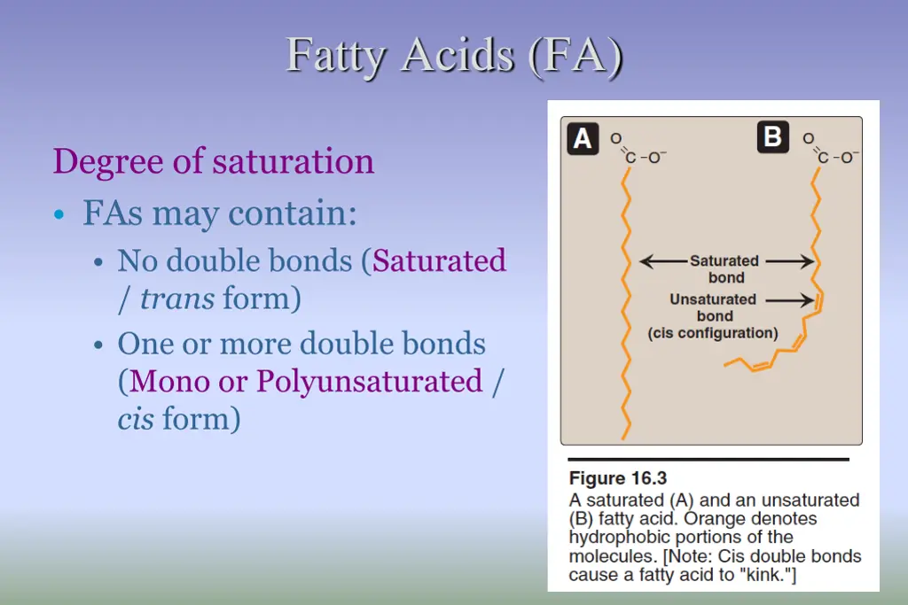 fatty acids fa