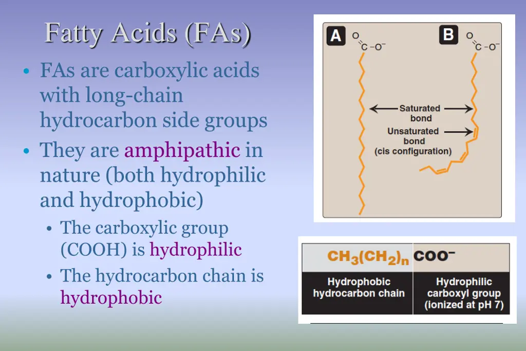 fatty acids fas fas are carboxylic acids with