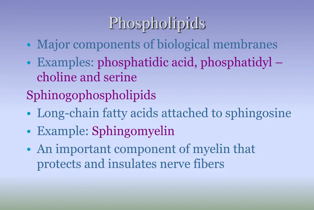 phospholipids 1