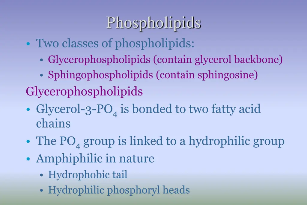 phospholipids