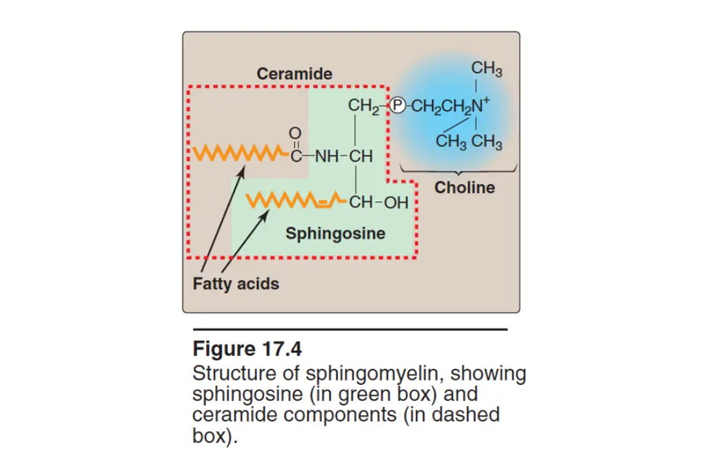 slide23