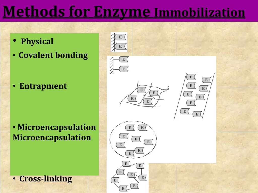 methods for enzyme immobilization