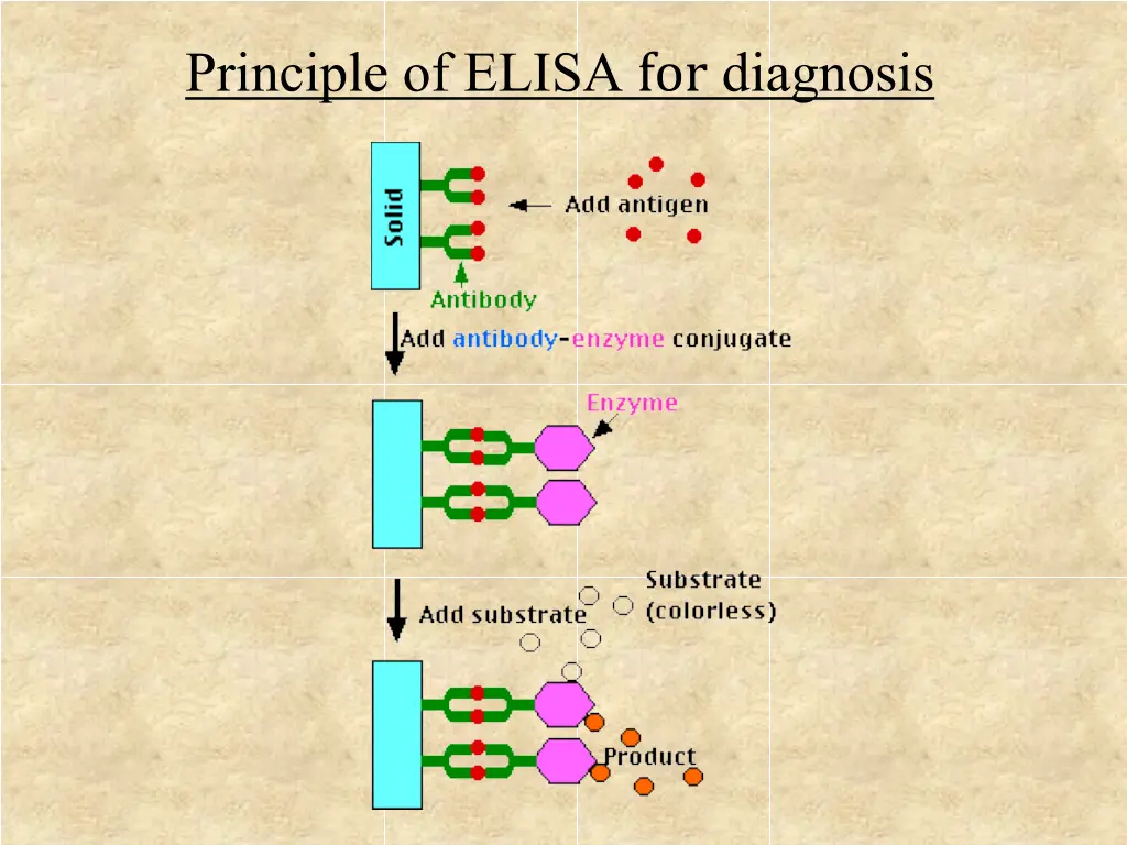 principle of elisa for diagnosis