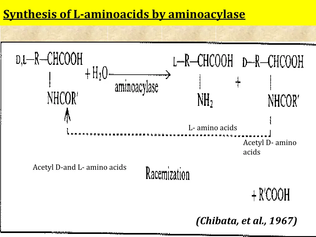 synthesis of l aminoacids by aminoacylase