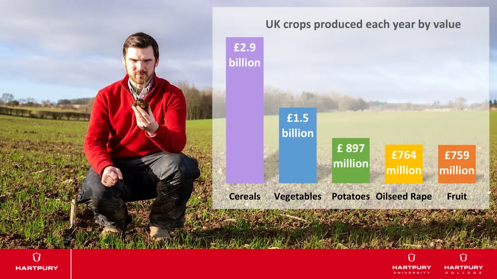 uk crops produced each year by value