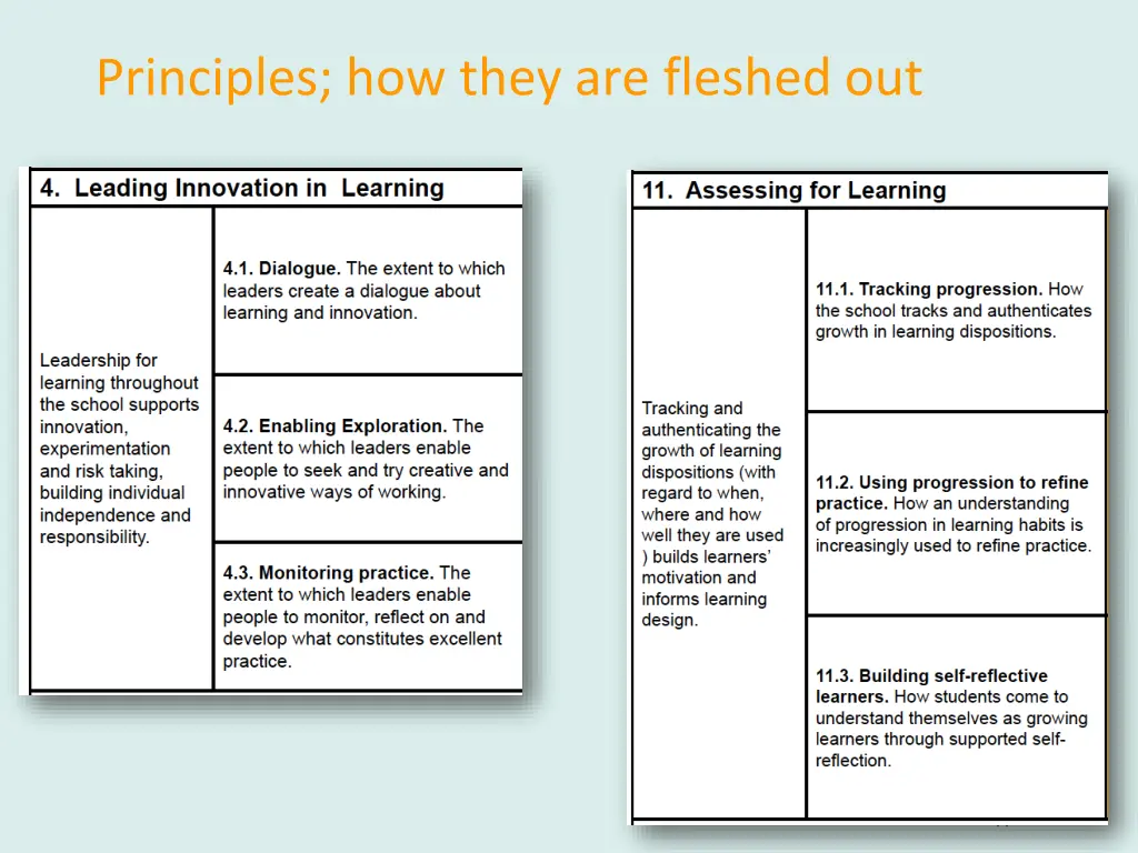 principles how they are fleshed out