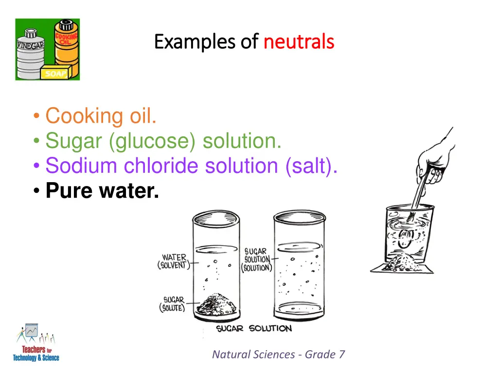 examples of examples of neutrals