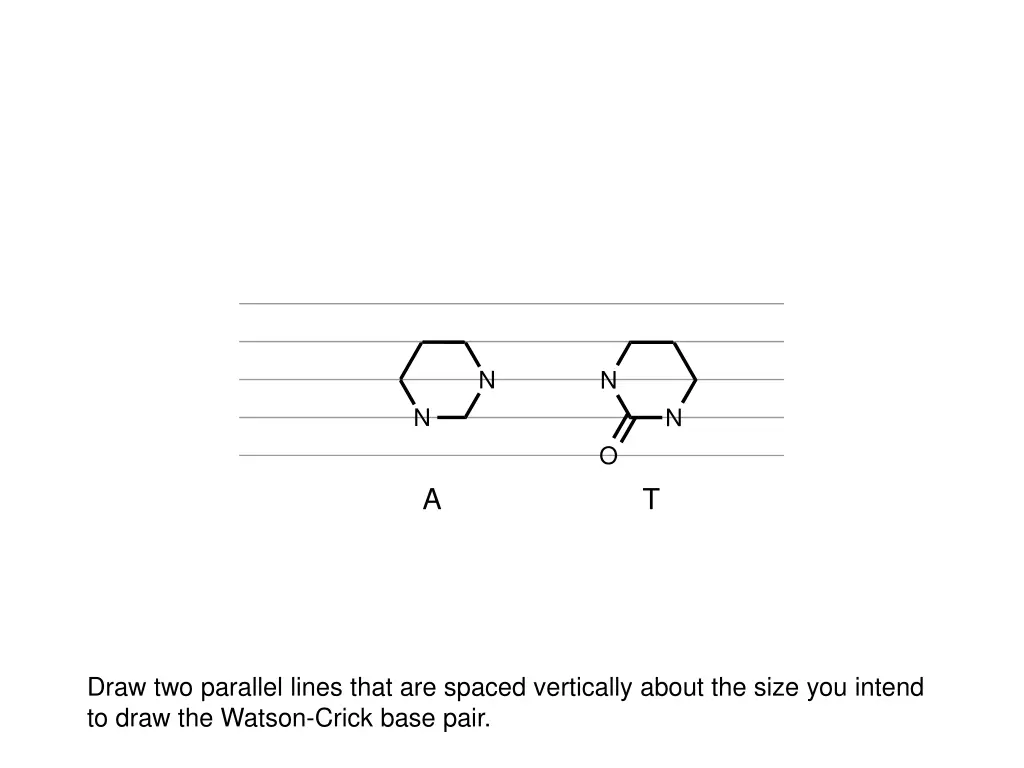 slide11