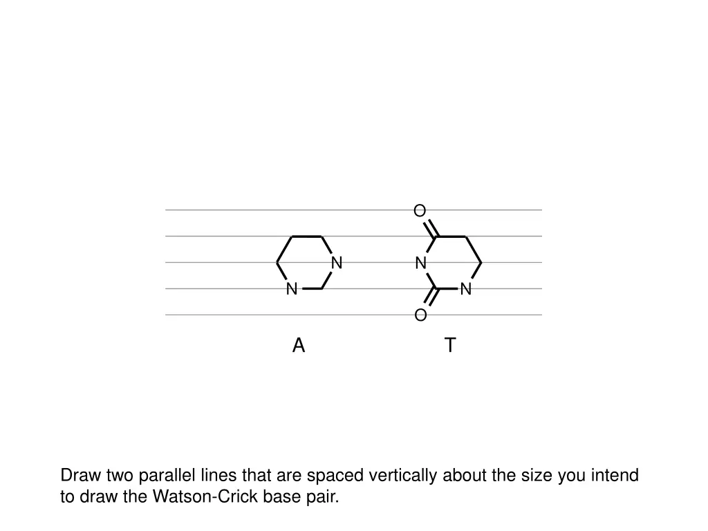 slide12