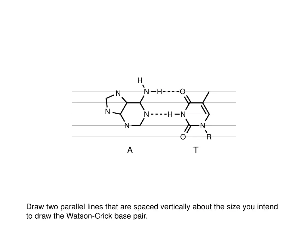 slide19