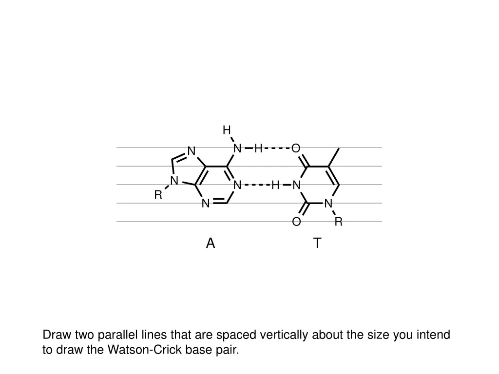 slide21