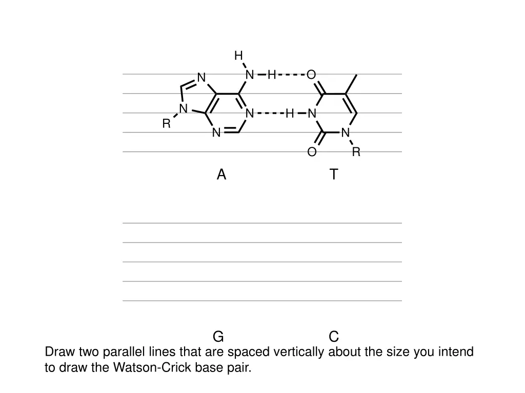 slide23