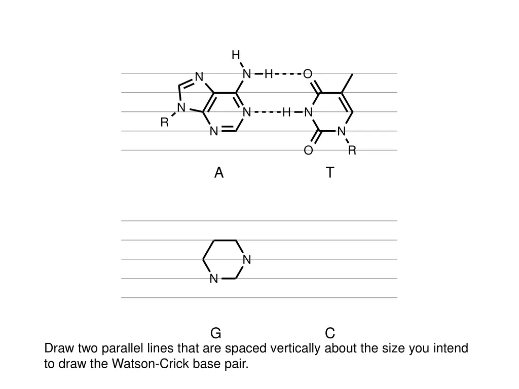 slide24