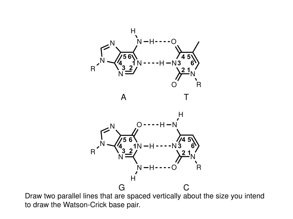 slide39