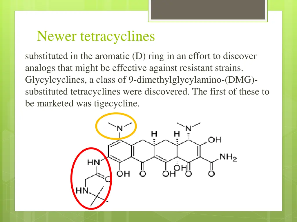 newer tetracyclines