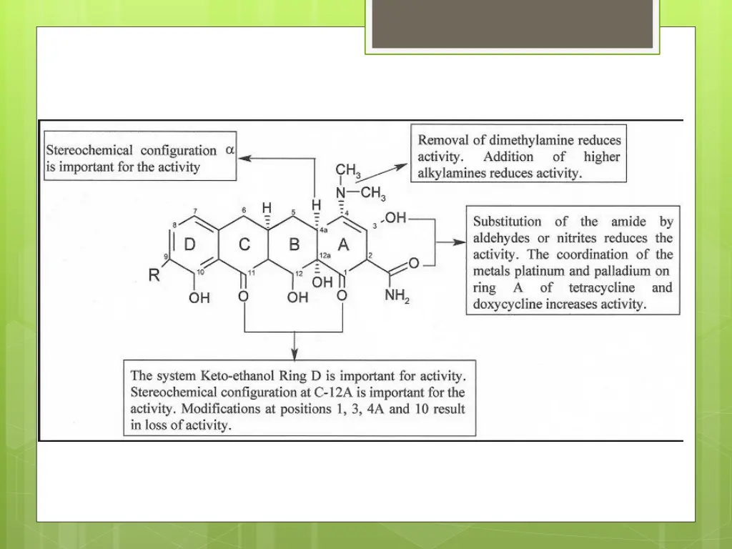 slide13