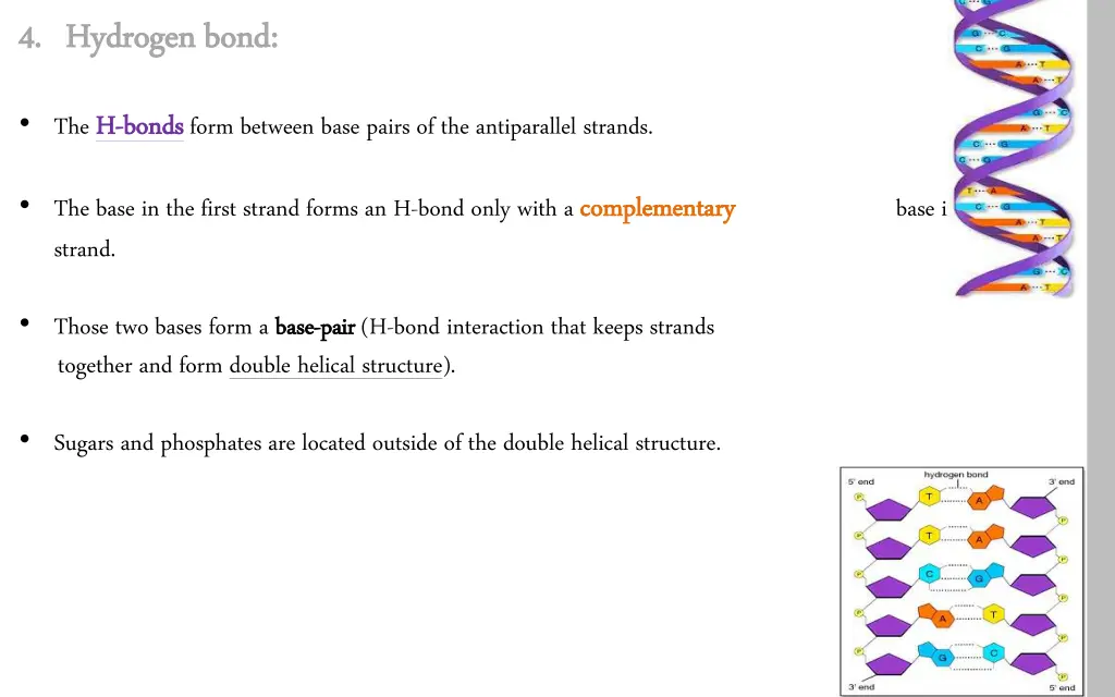 4 4 hydrogen bond hydrogen bond