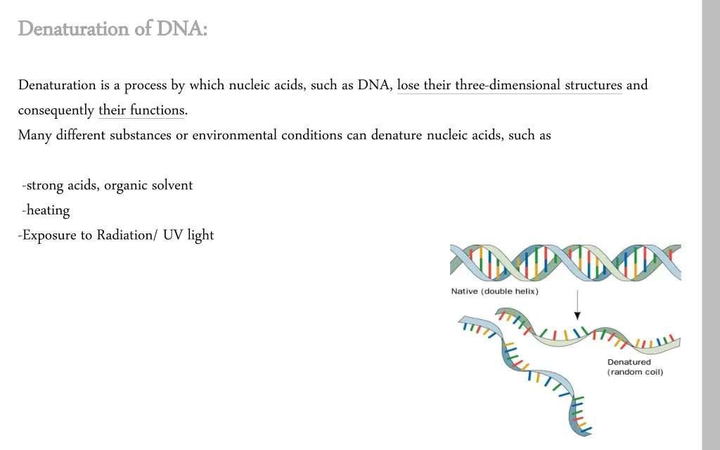 denaturation of dna denaturation of dna