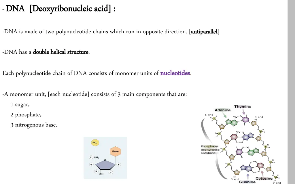 dna deoxyribonucleic acid dna deoxyribonucleic