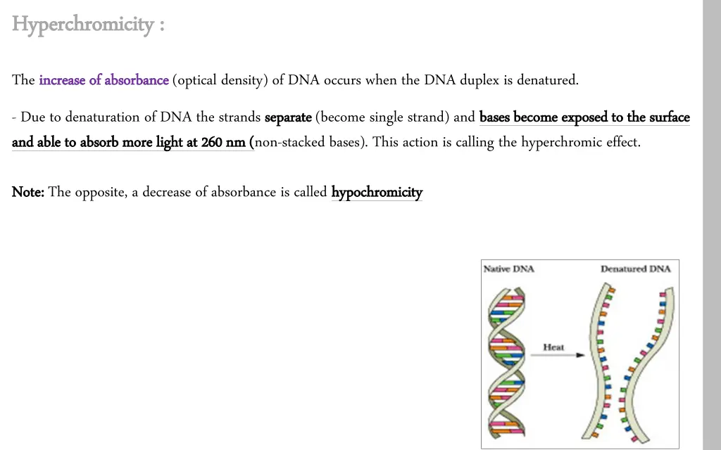 hyperchromicity hyperchromicity