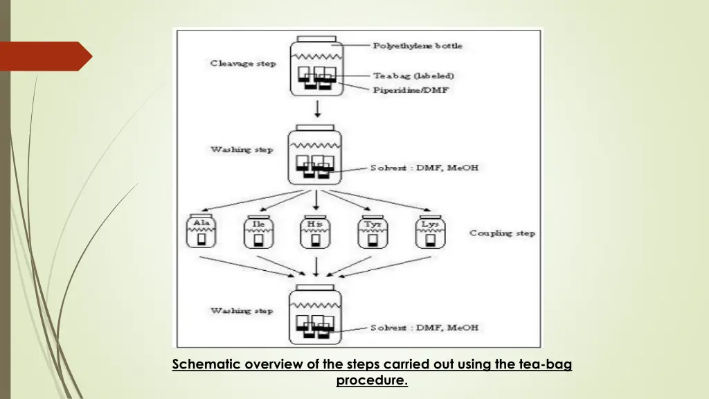 schematic overview of the steps carried out using