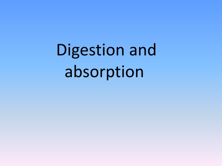 digestion and absorption