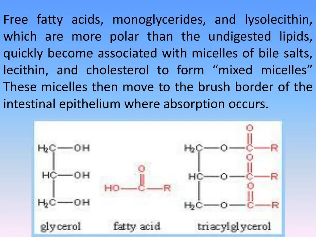 free fatty acids monoglycerides and lysolecithin