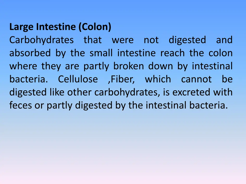 large intestine colon carbohydrates that were