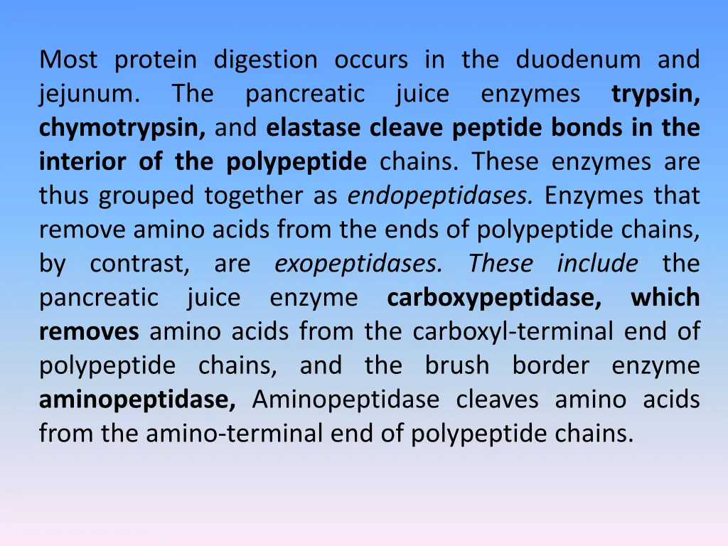 most protein digestion occurs in the duodenum