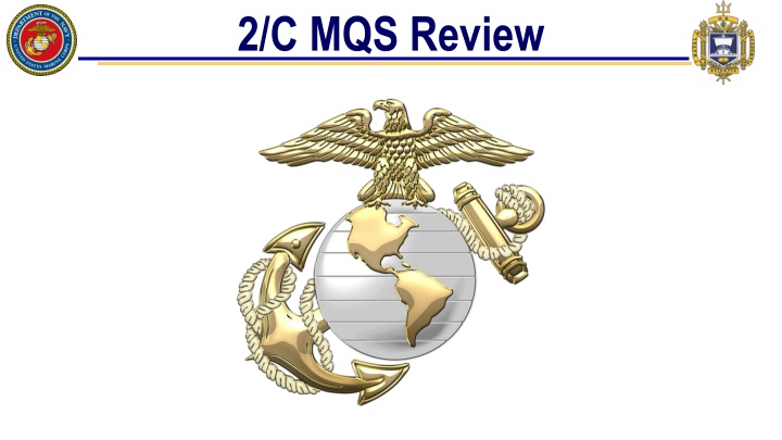 2 c mqs review