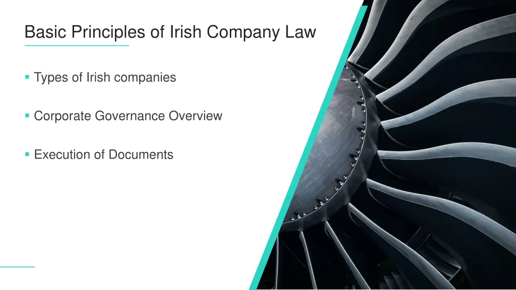 basic principles of irish company law