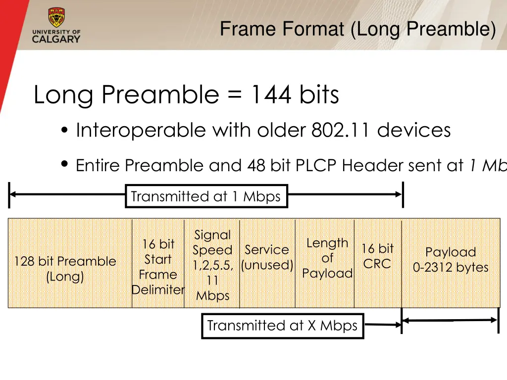 frame format long preamble