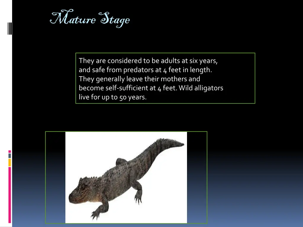 mature stage