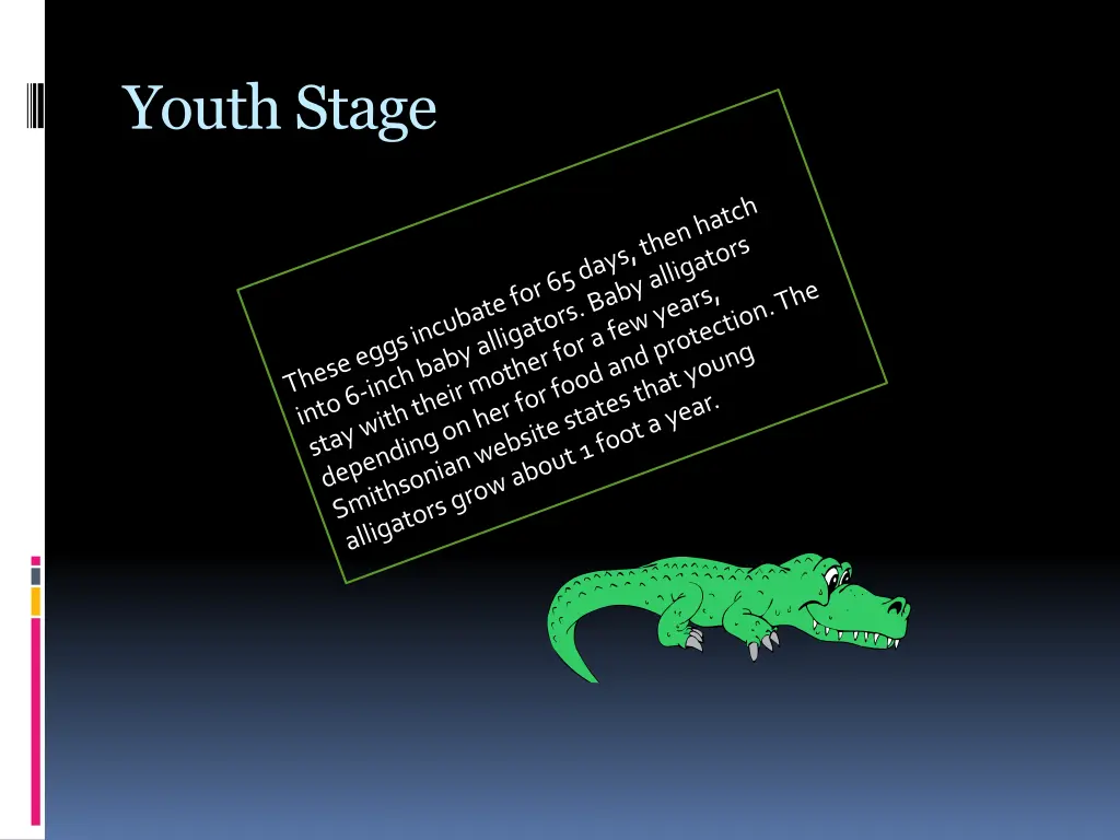 youth stage