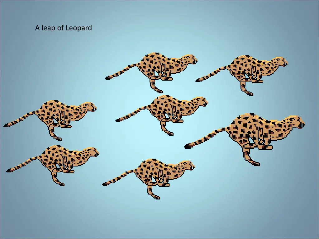 a leap of leopard