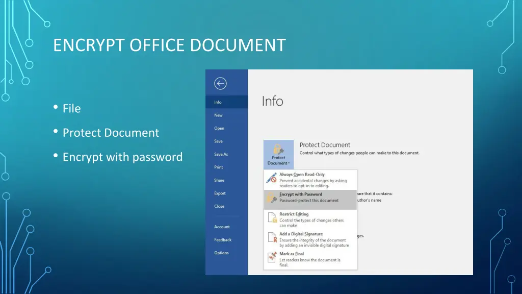 encrypt office document