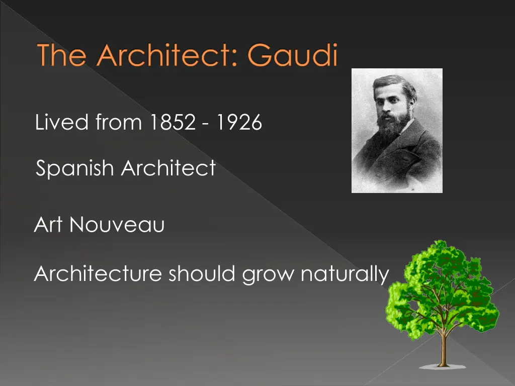 the architect gaudi