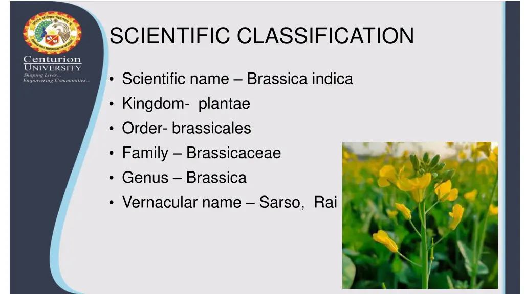 scientific classification