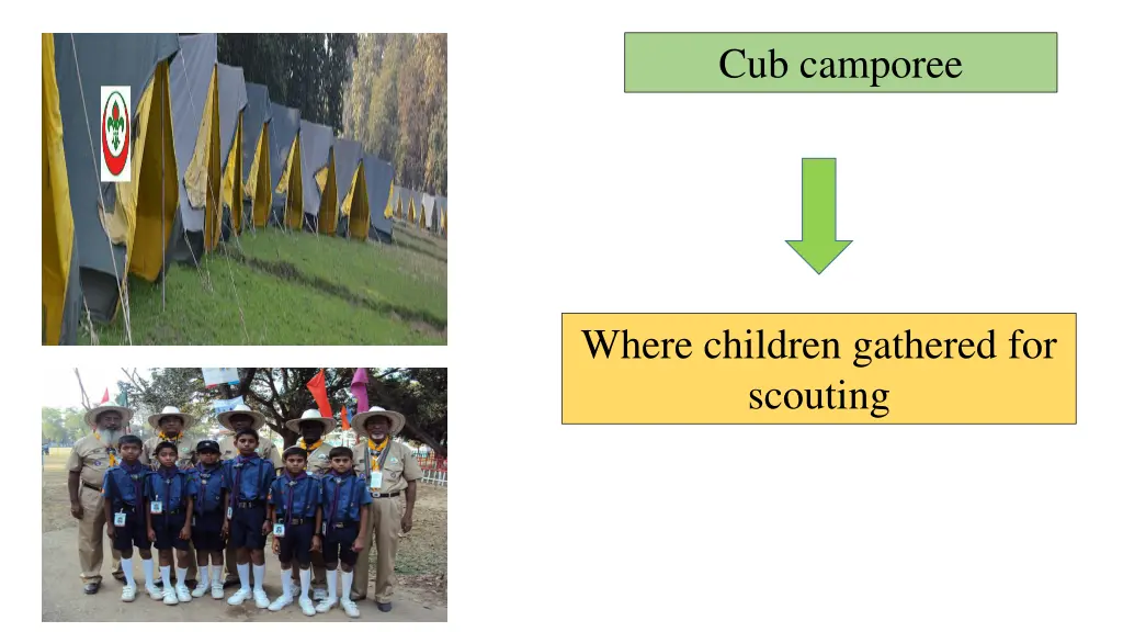 cub camporee