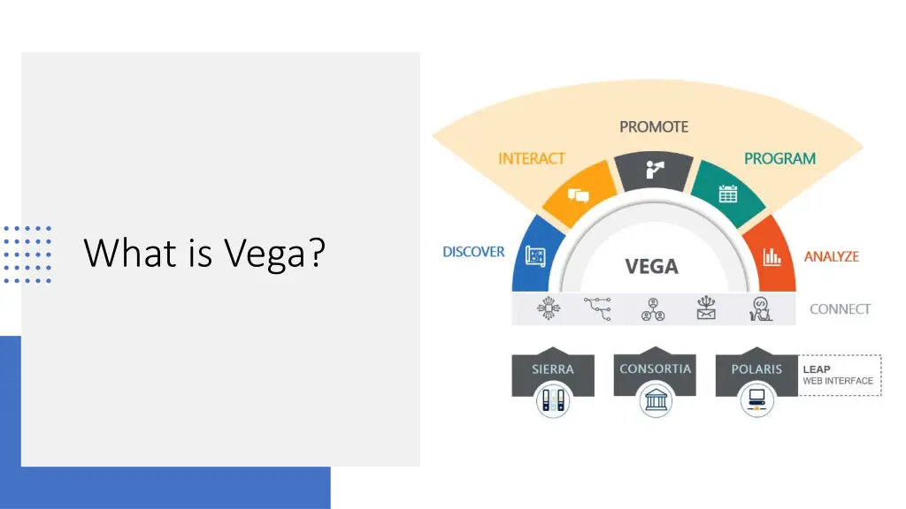 what is vega